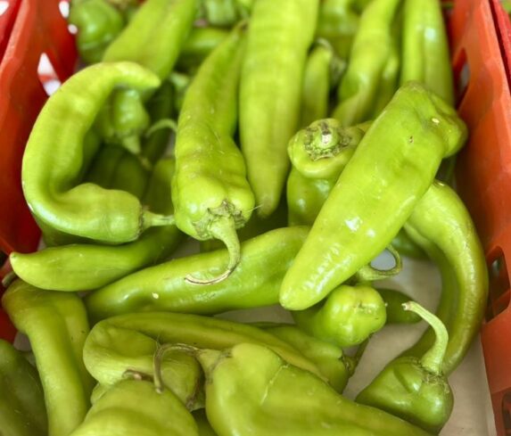 Freshly roasted green chiles