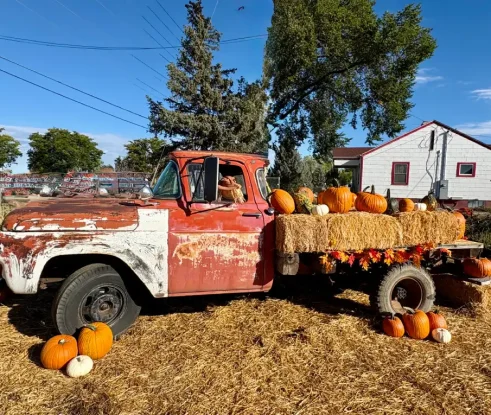 spano-greenhouse-pumpkin-patch-0104