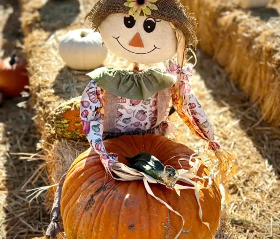spano-greenhouse-pumpkin-patch-0115