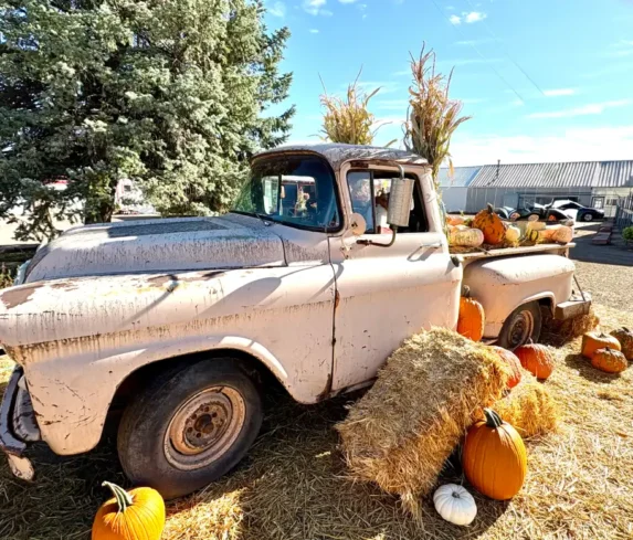 spano-greenhouse-pumpkin-patch-0119