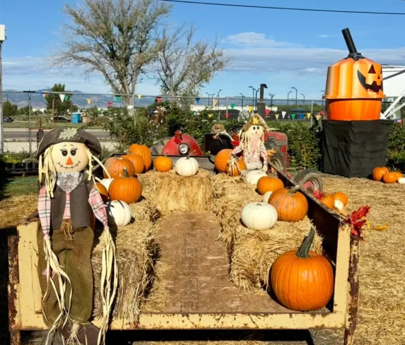 spano-greenhouse-pumpkin-patch-0122