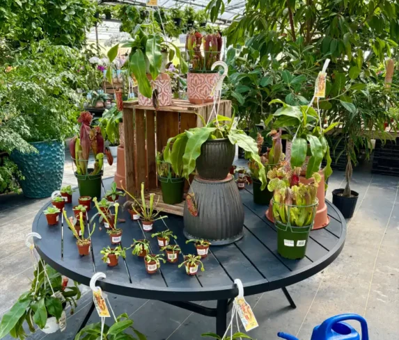 spano-greenhouse-0103