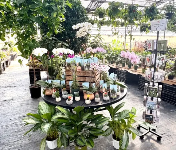 spano-greenhouse-0105