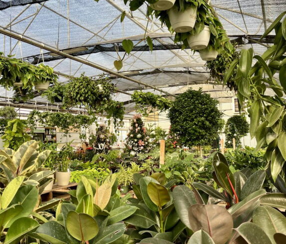 spano-greenhouse-fall25-08