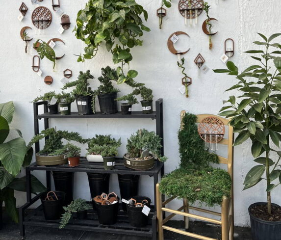 spano-greenhouse-fall25-09