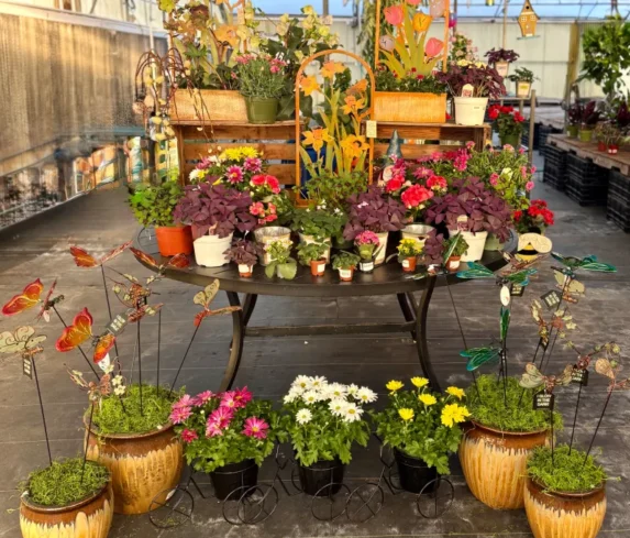 spano-greenhouse-sprhouseplants-005