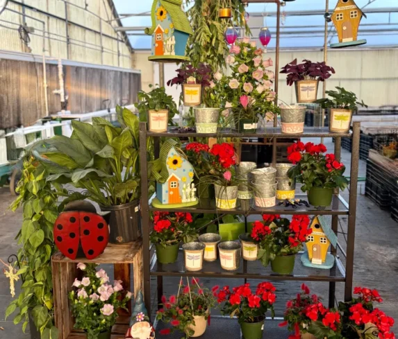 spano-greenhouse-sprhouseplants-006