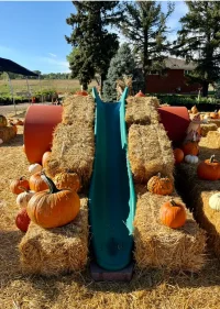 spano-greenhouse-pumpkin-patch-0121 spano-greenhouse-pumpkin-patch-0121